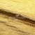 Текстильный материал "Диско"#1805 с покрытием РЕТ, 40гр/м2, 100% полиэстер, цв.5-золото - купить в Ульяновске. Цена 412.36 руб.
