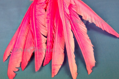 Декоративный Пучок из перьев, перо 25см/розовый - купить в Ульяновске. Цена: 14.40 руб.