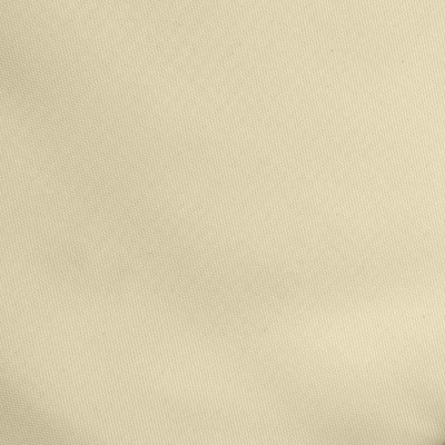 Ткань подкладочная Таффета 14-1014, антист., 53 гр/м2, шир.150см, цвет бежевый - купить в Ульяновске. Цена 62.37 руб.