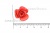 Украшение "Розы малые №1" 20мм - купить в Ульяновске. Цена: 32.49 руб.