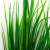 Трава искусственная -2, шт (осока 41см/8 см)				 - купить в Ульяновске. Цена: 104.57 руб.