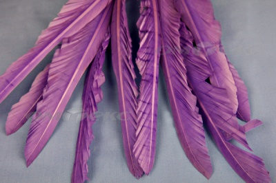 Декоративный Пучок из перьев, перо 25см/фиолетовый - купить в Ульяновске. Цена: 12.19 руб.