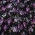 Плательная ткань "Фламенко" 20.1, 80 гр/м2, шир.150 см, принт растительный - купить в Ульяновске. Цена 241.49 руб.