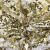 Трикотажное полотно, Сетка с пайетками, шир.130 см, #315, цв.-белый/золото - купить в Ульяновске. Цена 693.39 руб.