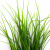 Трава искусственная -3, шт (осока 50 см/8 см  5 листов)				 - купить в Ульяновске. Цена: 124.17 руб.