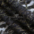Кружевное полотно XD LACE 1-4, 80 гр/м2, шир.150см, цвет чёрный - купить в Ульяновске. Цена 248.45 руб.